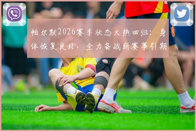 帕尔默2026赛季状态火热回归：身体恢复良好，全力备战新赛事引期待